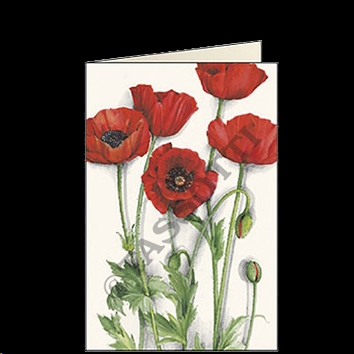 Tarjeta A - Papaveri