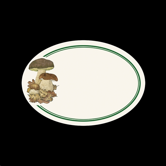Etiquetas adhesivas ovaladas (6 uds.) - Pack Funghi