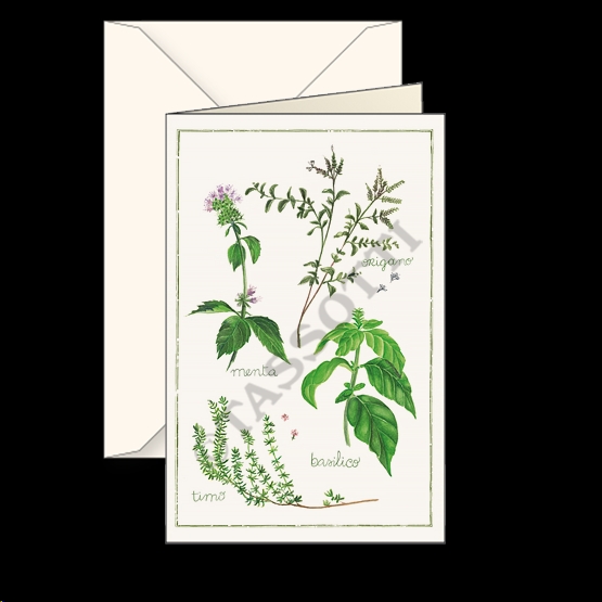 Tarjeta felicitación pequeña - Erbe Aromatiche